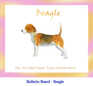Bulletin board art of a Beagle dog.  Original art by Jim Harris from the counting book, Ten Little Puppies.